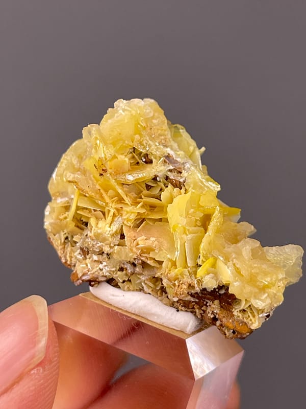Yellow Wulfenite specimen displaying yellow radiating tabular blades prominently