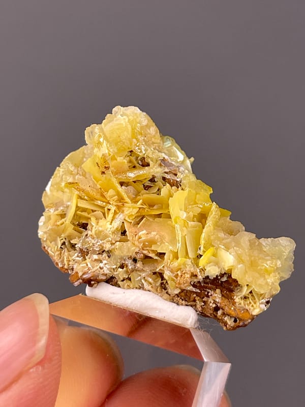Yellow radiating tabular blades seen across this yellow wulfenite specimen
