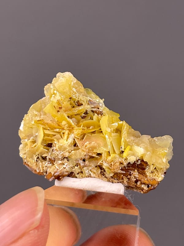 Yellow Wulfenite natural specimen highlighting yellow radiating tabular blades clearly