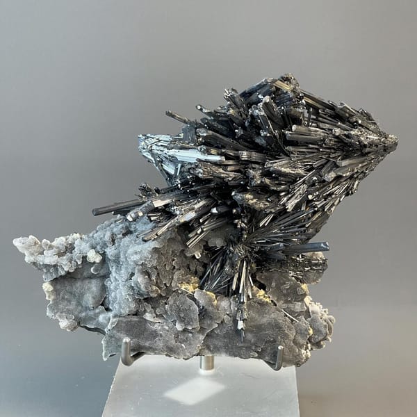 Large-cabinet museum-grade stibnite specimen, two hands wide