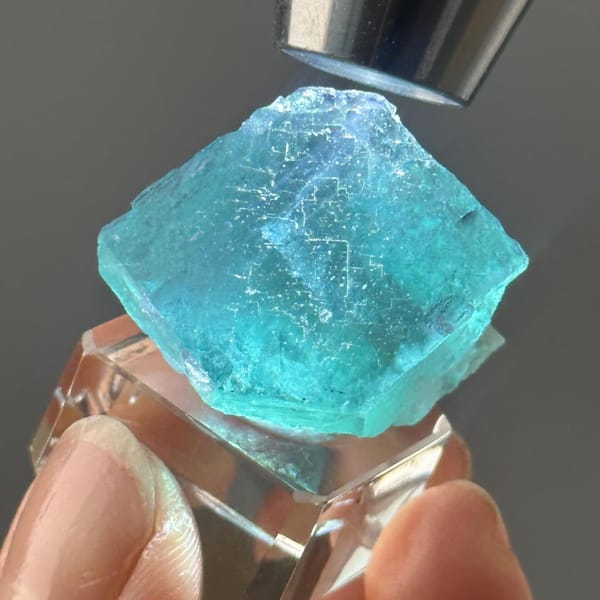 Thumbnail-size turquoise fluorite held in the fingertips for scale