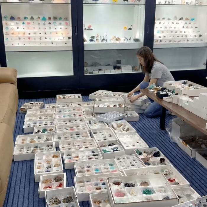 Maggie sorting newly-arrived mineral specimens