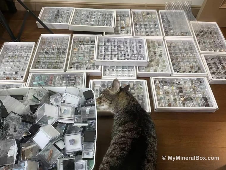 Coming Soon: Curated Mini Mineral Boxes