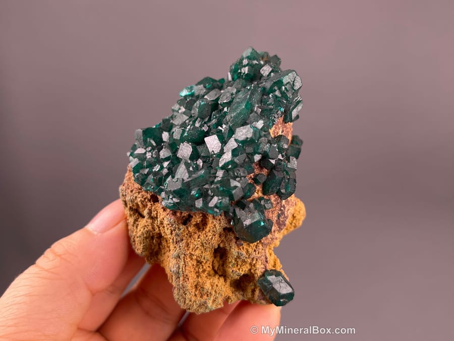 Green botryoidal malachite with blue chrysocolla from the DR Congo, a copper carbonate that is safe to display but toxic as fine dust