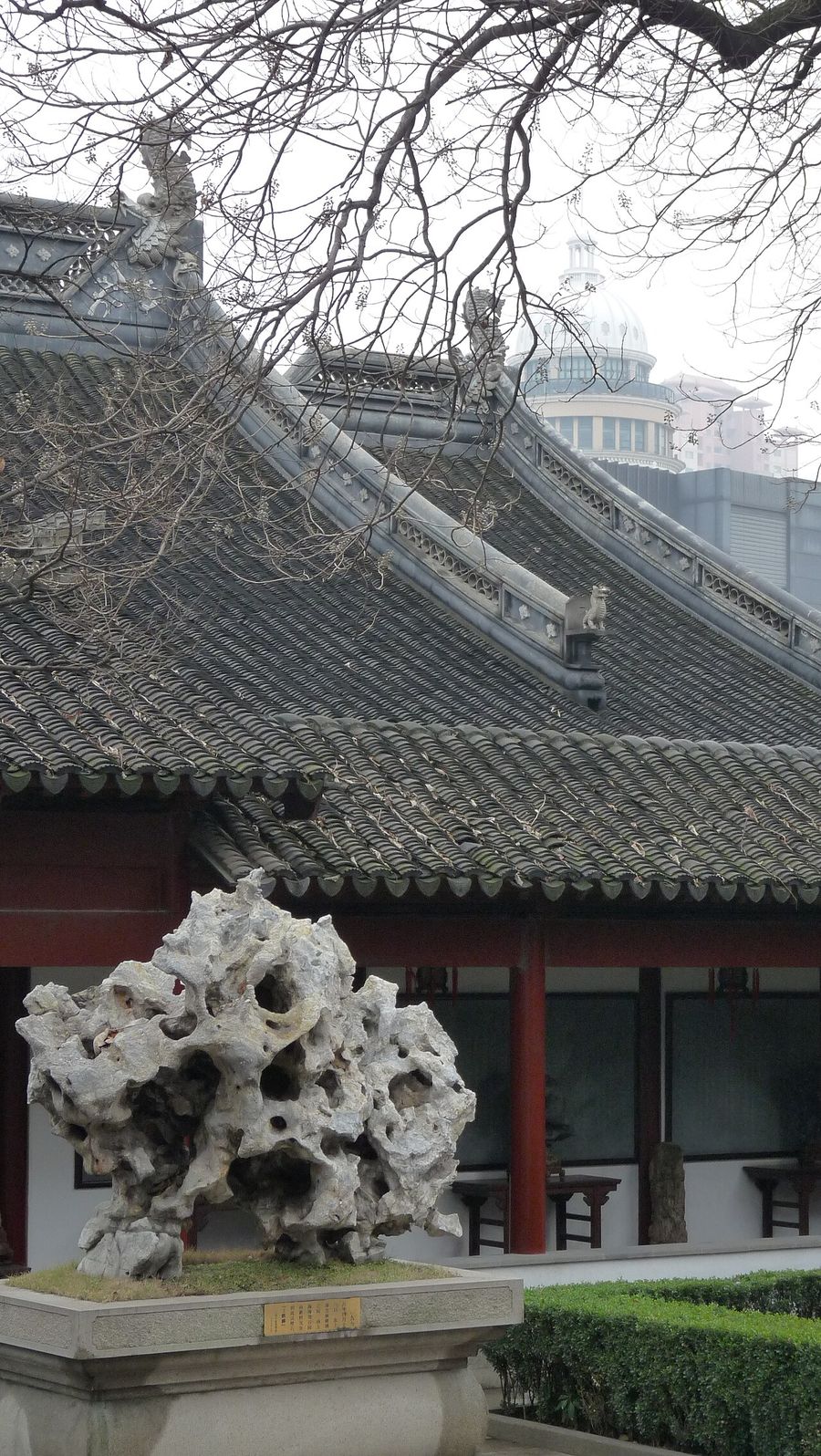 Viewing Stones and Crystal Treasures: Two Ways of Loving Stone