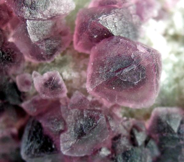 Purple and pink color-zoned octahedral fluorite crystals where the color deepens toward the crystal faces, a sign of natural zoning rather than dye