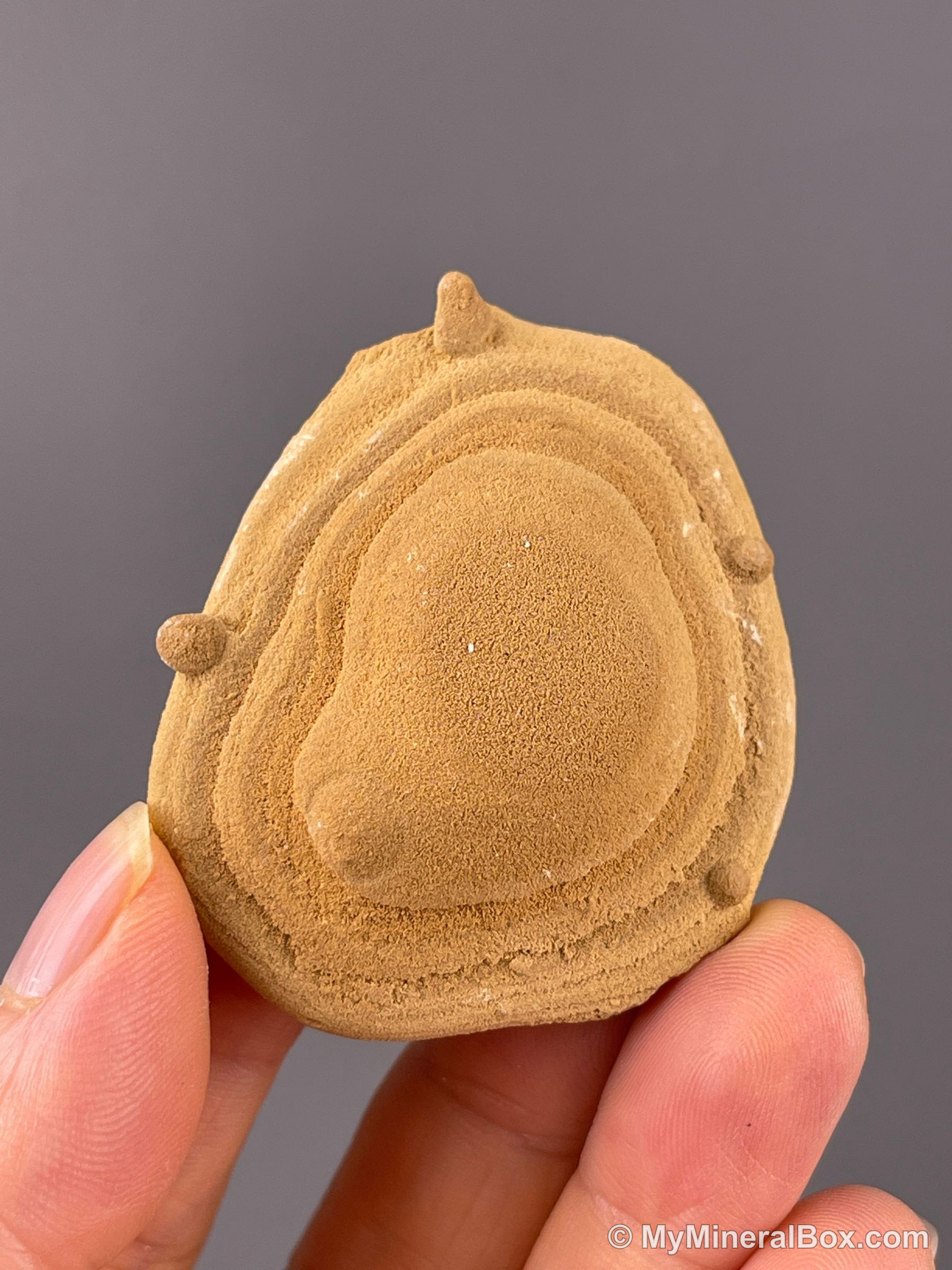 A collector set of mineral hand specimens arranged for packing, each piece destined for individual wrapping and cushioning