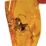 Amber