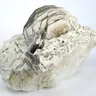 Lepidolite