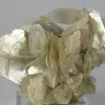 Muscovite