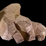 Orthoclase