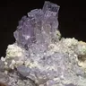 Scapolite