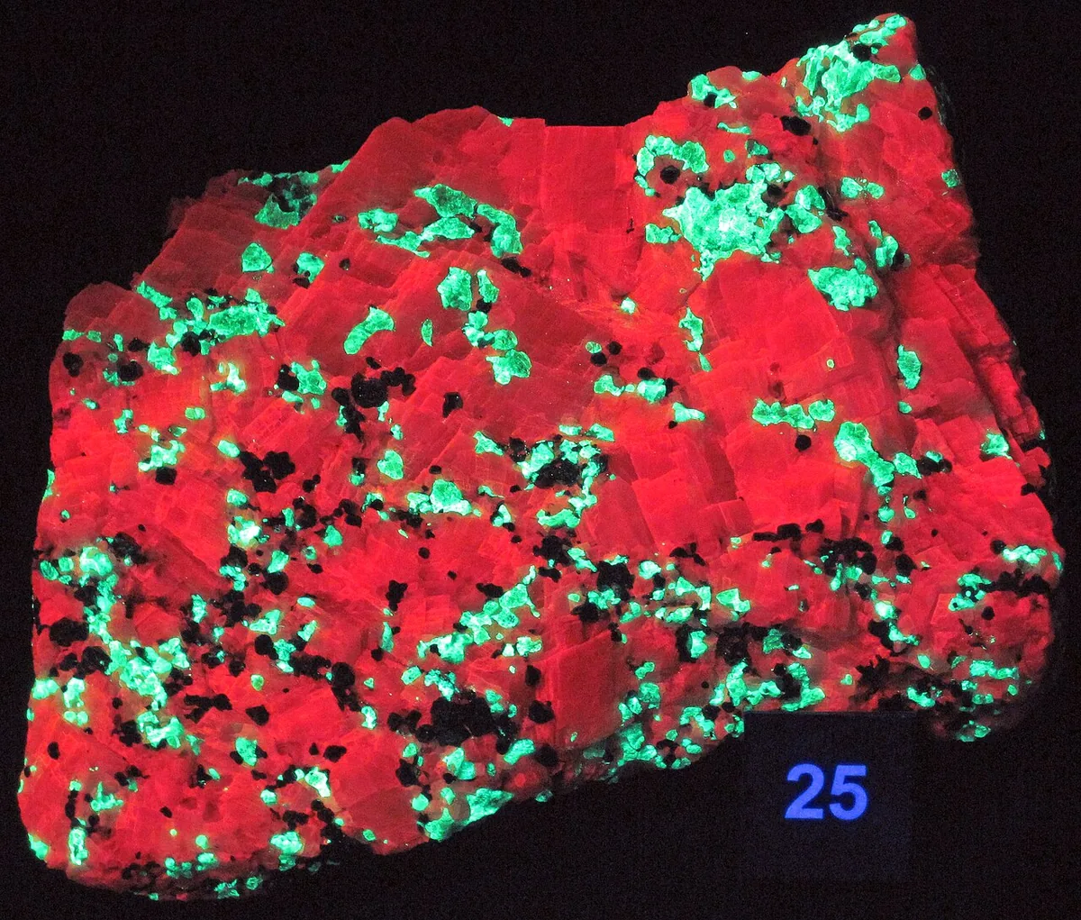 Calcite (red) and willemite (green) from the Franklin district fluorescing under ultraviolet light.