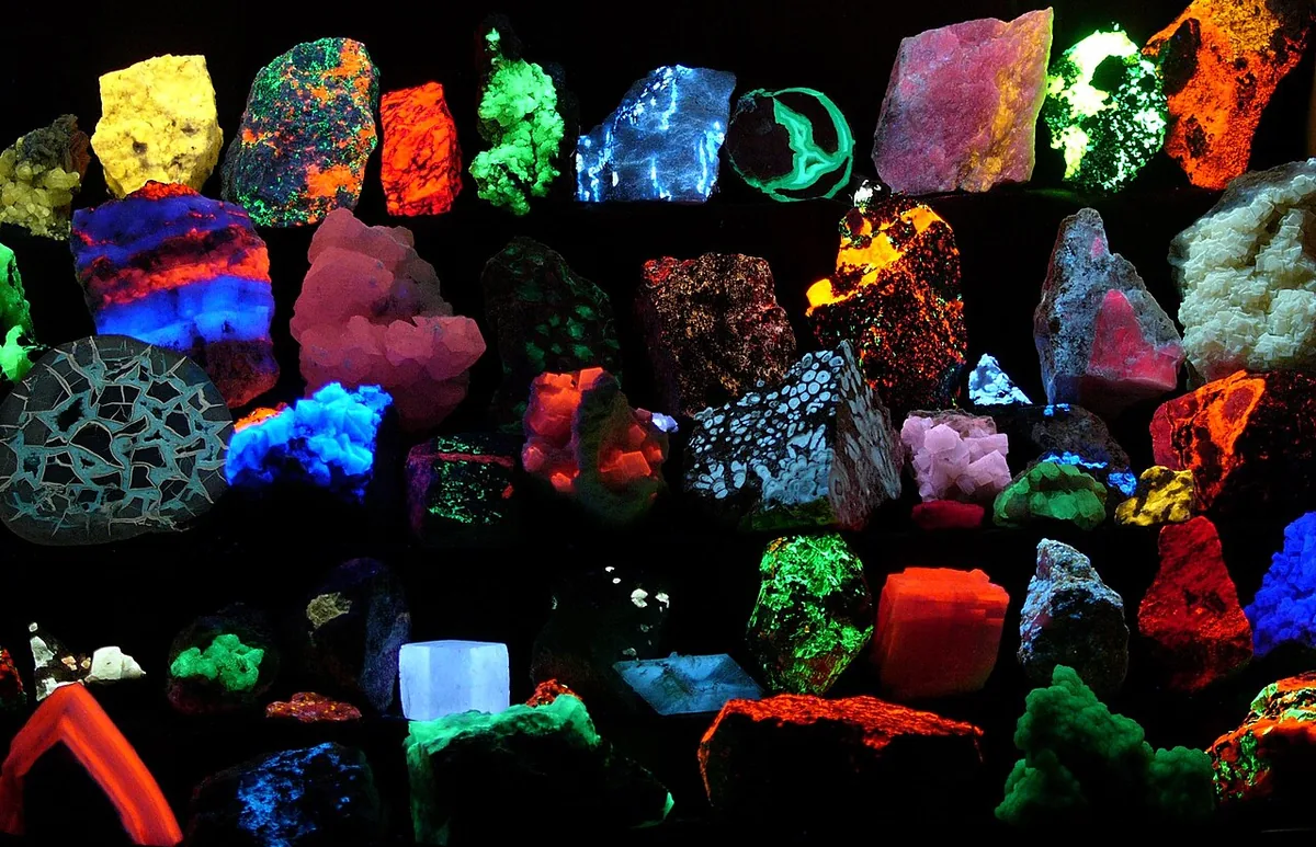 A collection of minerals fluorescing in many colors under ultraviolet light.