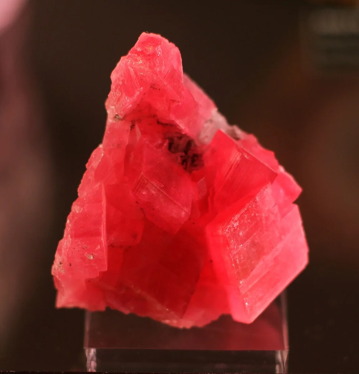 Rhodochrosite from Sweet Home Mine, USA