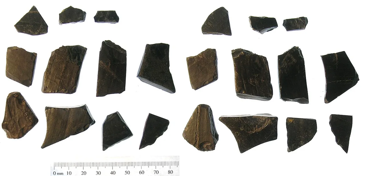 Jet — raw gemstone material