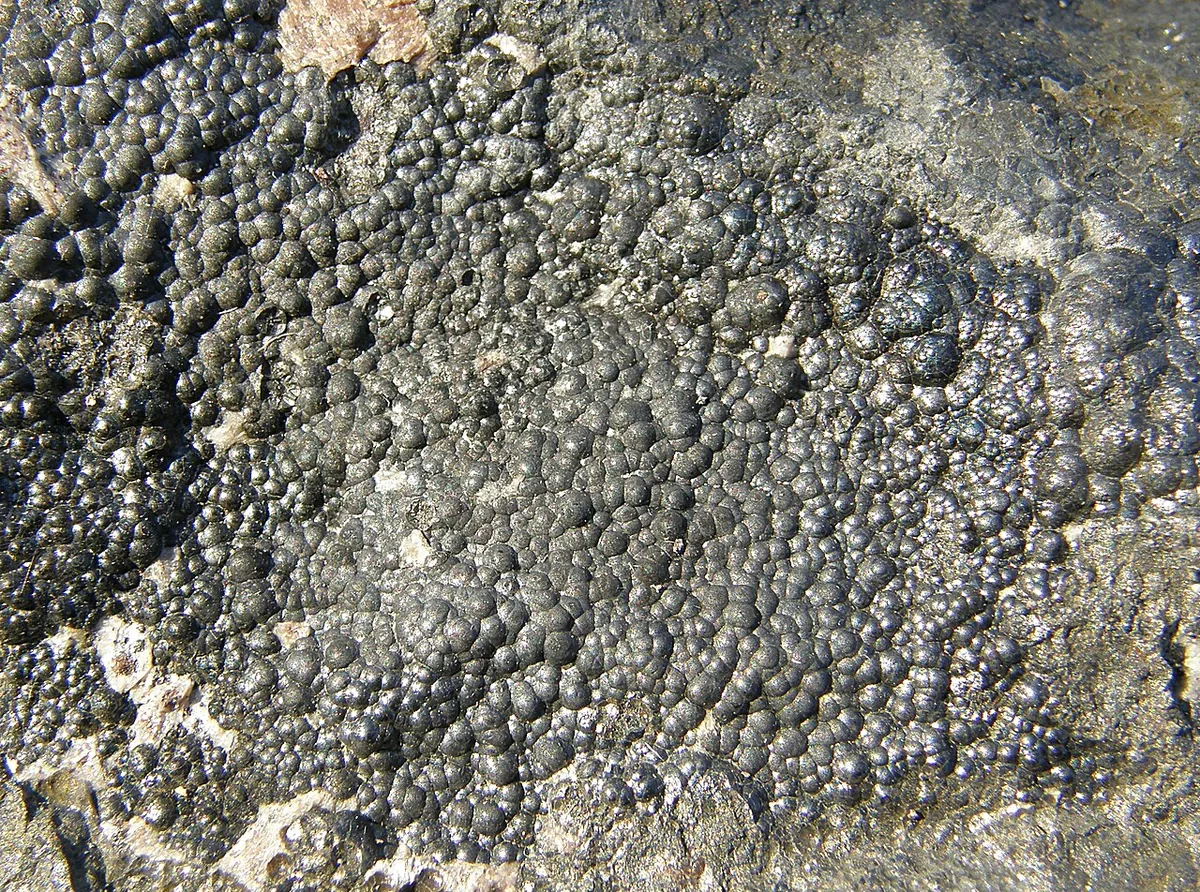 Uraninite specimen